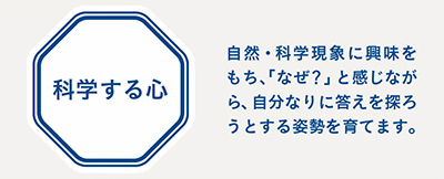 科学する力