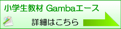 小学生教材 Gamba エース