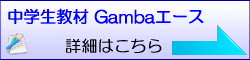 中学生教材 Gamba エース